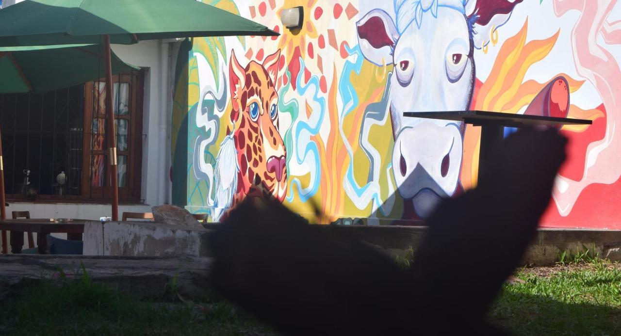 Trotamundos Hostel Salta Dış mekan fotoğraf